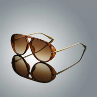 Leon | Elegante Aviator Sonnenbrille im Herrenstil in Braun